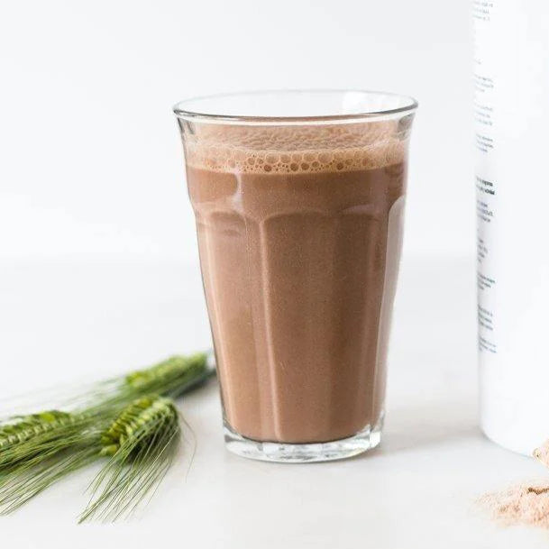 Vegan Chocolate Eiwitpoeder