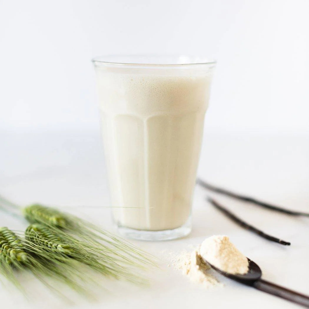 Vegan Vanille Eiwitpoeder