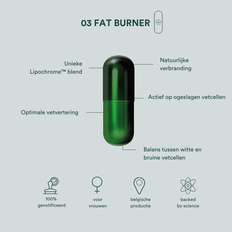 Fat Burner